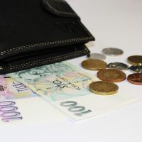Feng Shui Wallet