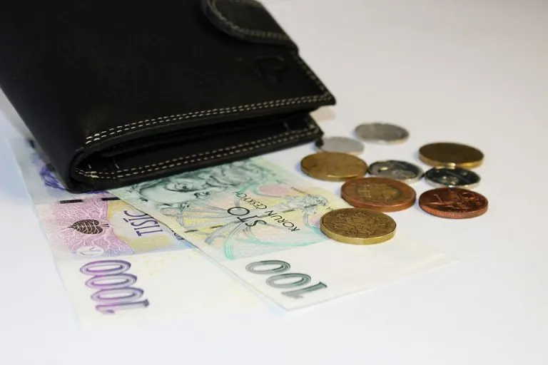 Feng Shui Wallet