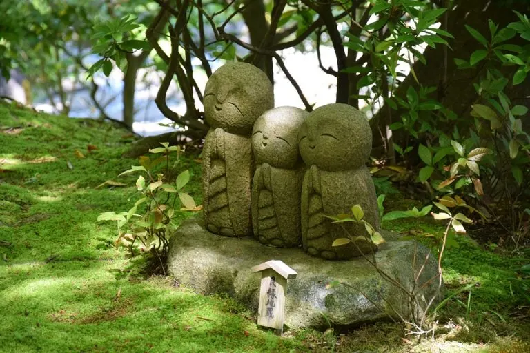 Feng Shui Plants good luck