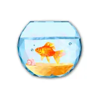 Feng Shui Fish