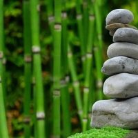 Zen Garden