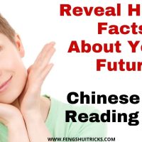Chinese Face Reading