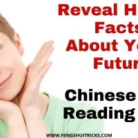 Chinese Face Reading