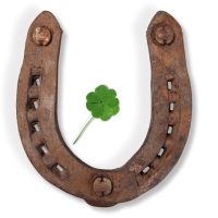 Feng Shui Lucky Horseshoe