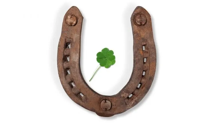 Feng Shui Lucky Horseshoe Feng Shui Lucky Horseshoe
