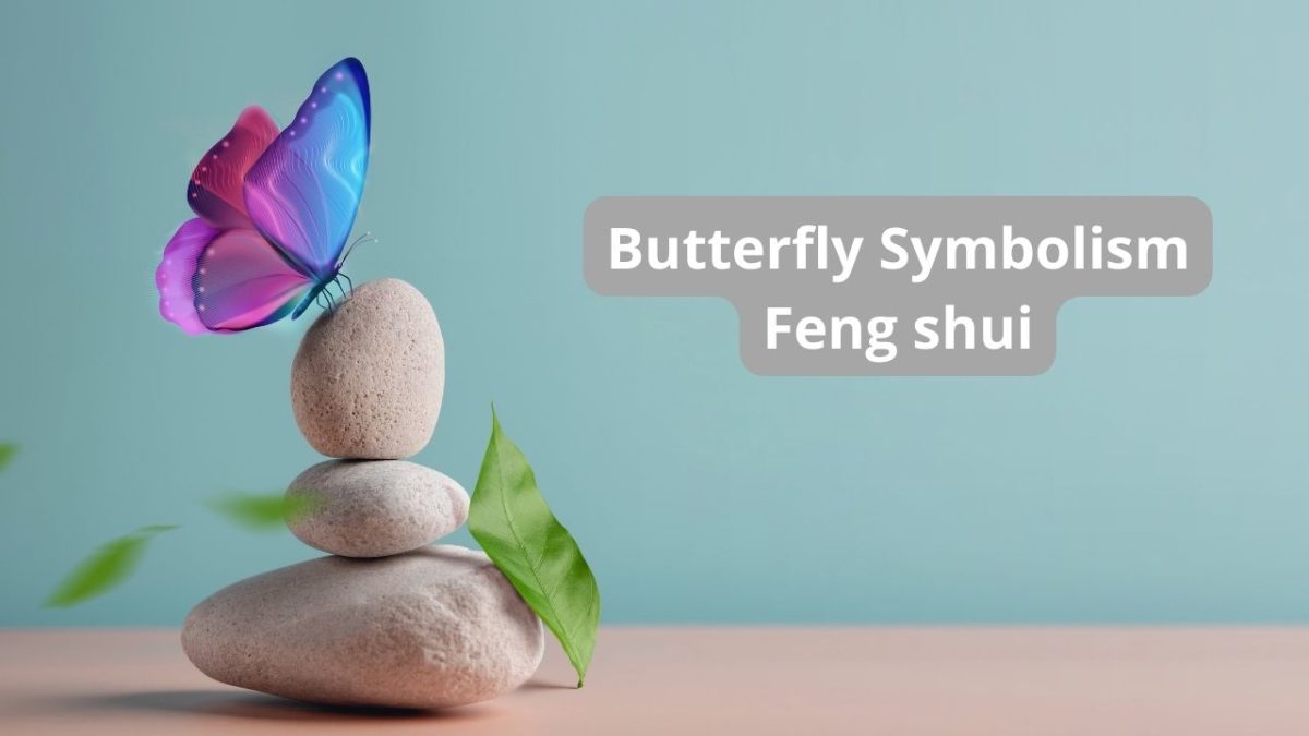 2025 Feng Shui Butterfly Symbolism, Energy & Placement Tips