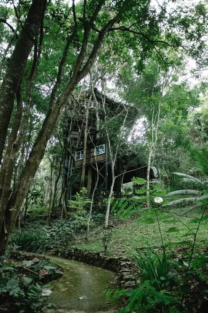 Feng Shui Water Behind House