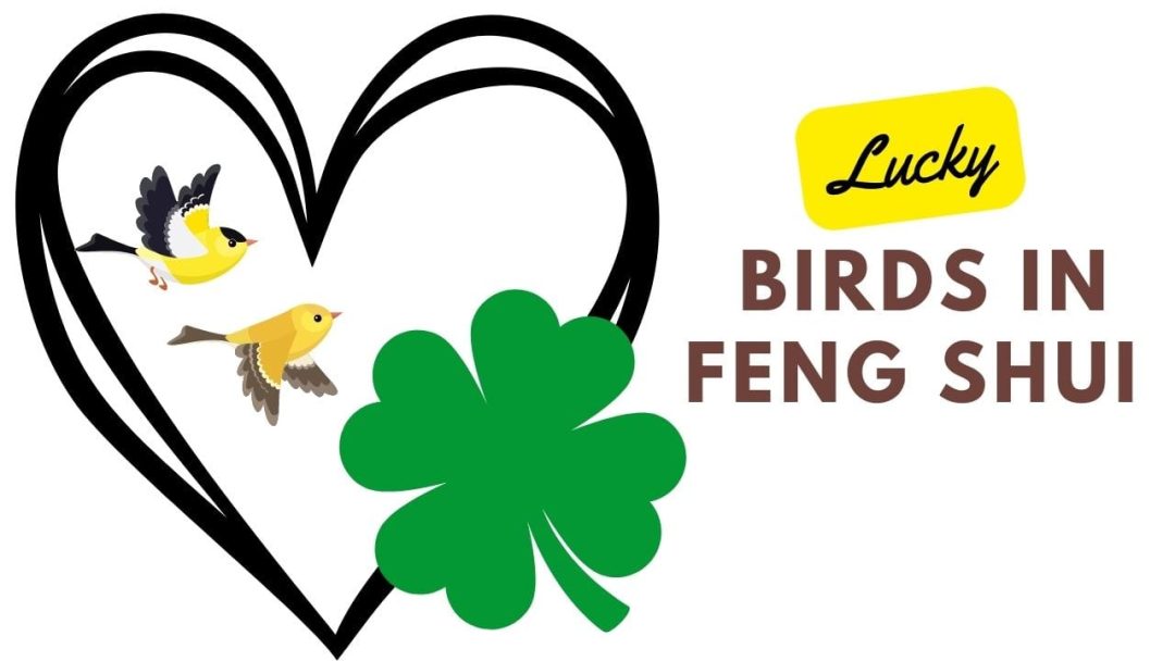 Best 15 Lucky Birds In Feng Shui And Placement Tips
