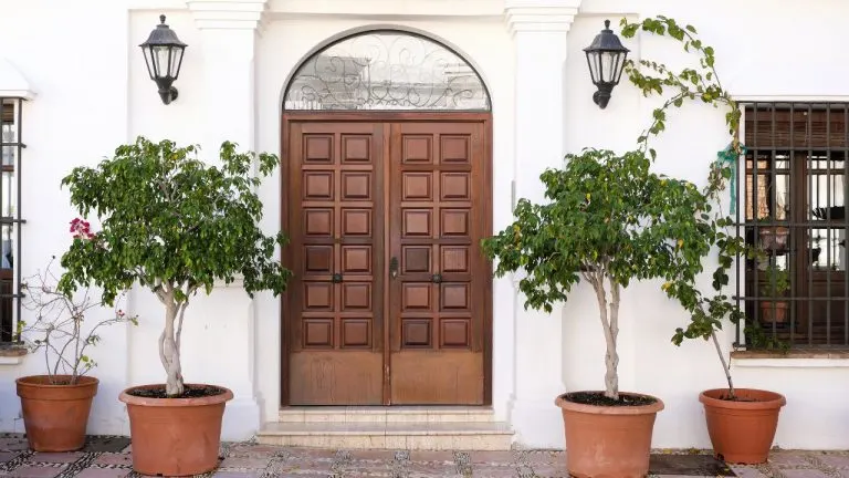 Auspicious Trees In Feng Shui For Front Door