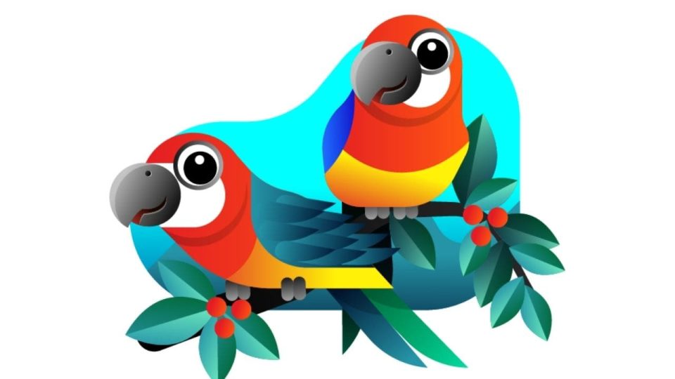 Best 15 Lucky Birds In Feng Shui And Placement Tips