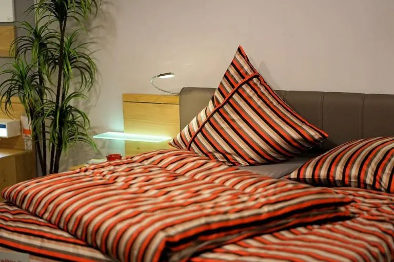 Feng Shui Bedroom Plants