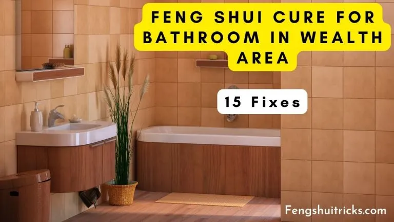 Feng Shui Cure For Bathroom In Wealth Area