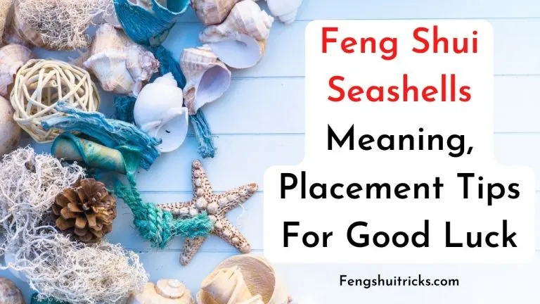 Feng Shui Seashells Benefits and Placement