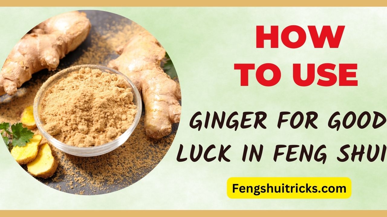 13 Ways To Use Ginger For Good Luck + Money In Feng Shui