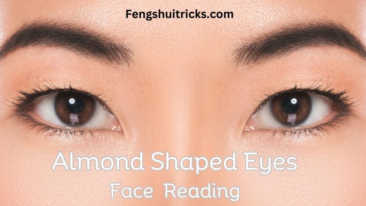 15 Almond Shaped Eyes Face Reading For (Male + Female)