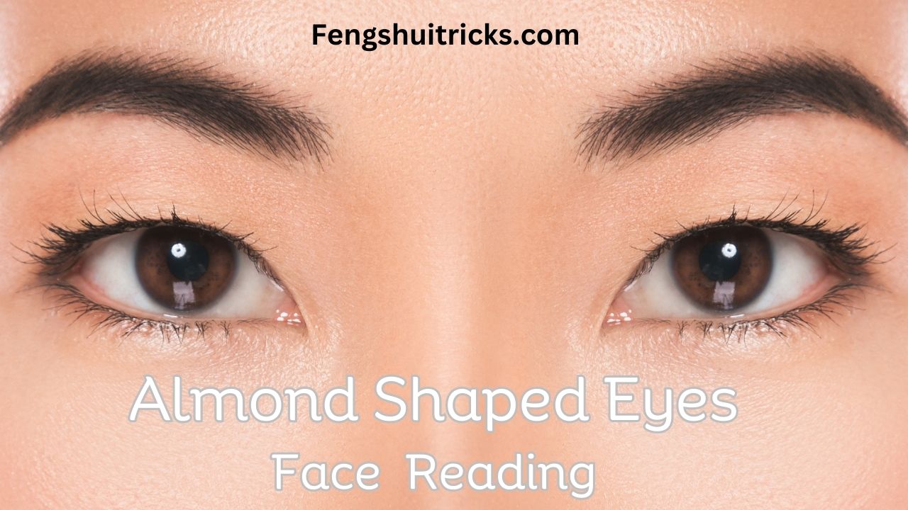15 Almond Shaped Eyes Face Reading For (Male + Female)