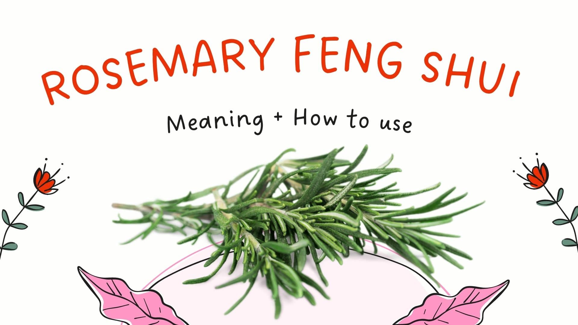 Rosemary Feng Shui Meaning + 17 Uses For Health, Wealth