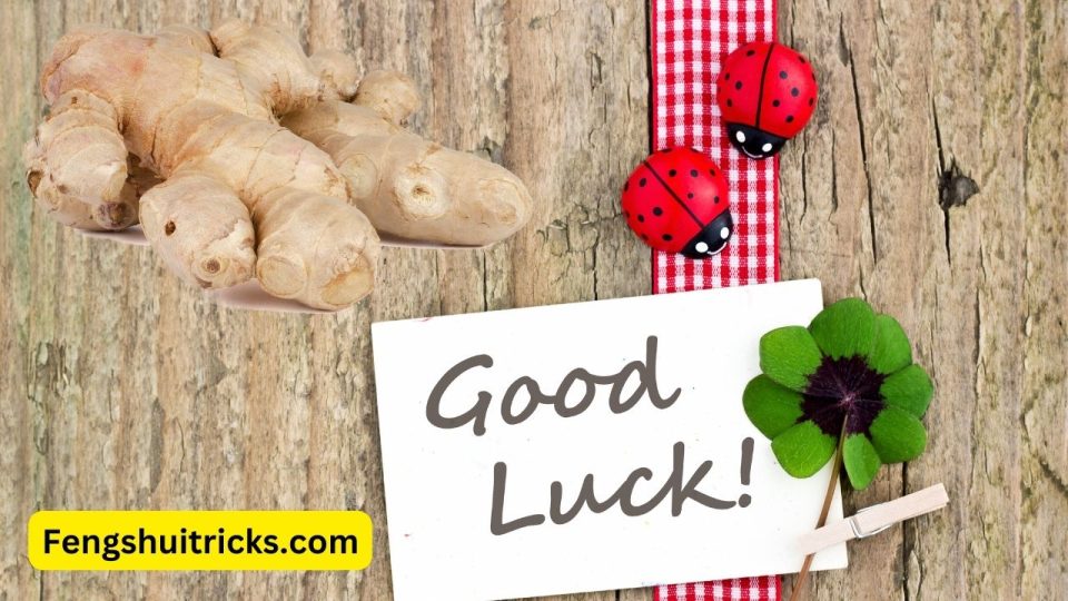 13 Ways To Use Ginger For Good Luck + Money In Feng Shui
