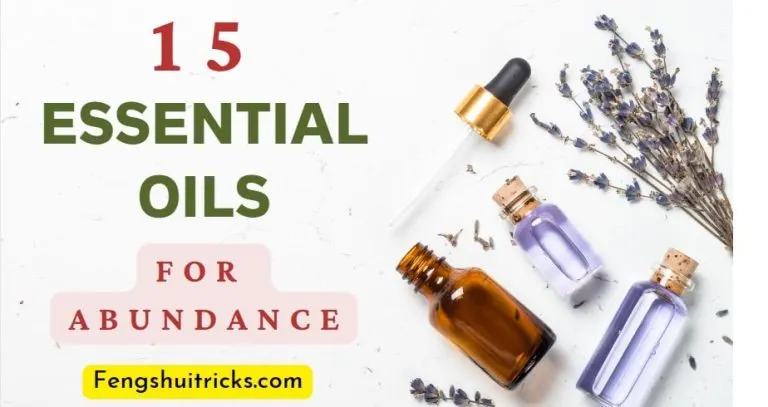 Essential Oils For Abundance and Wealth