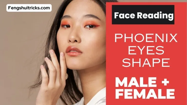 Phoenix Eyes Shape Face reading For male and female Phoenix Eyes Shape Face reading For male and female