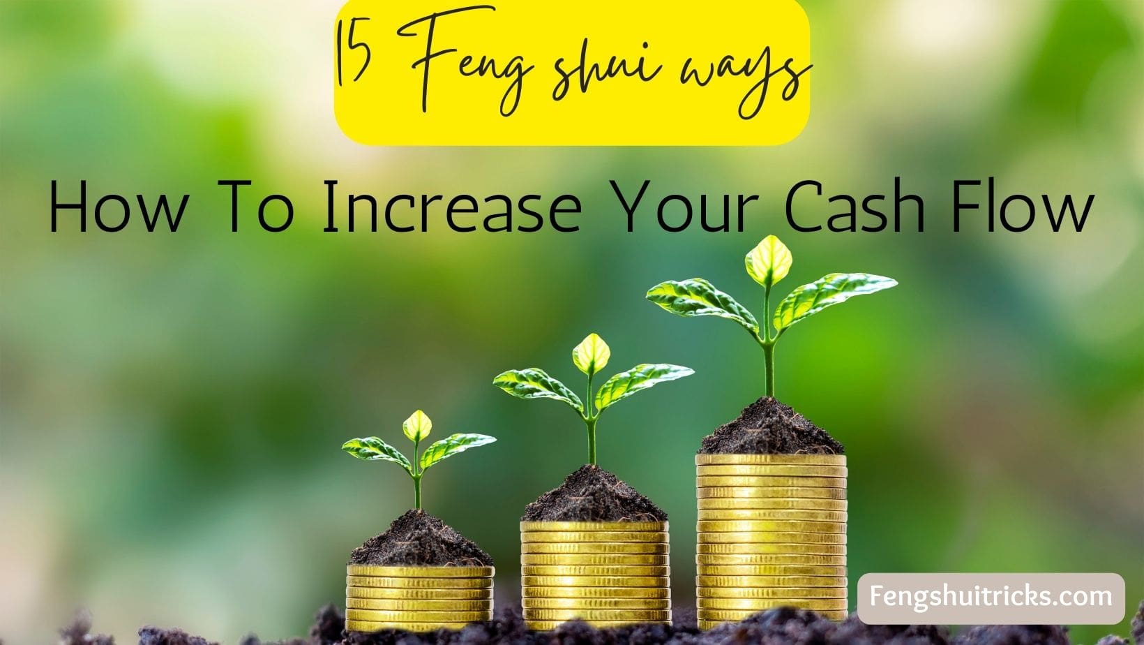 15 Secrets: How To Increase Your Cash Flow Using Feng Shui