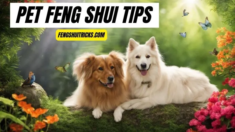 Feng Shui and Pets