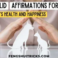Affirmations for Pets Health