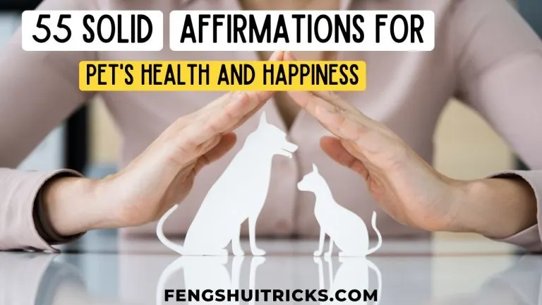 Affirmations for Pets Health